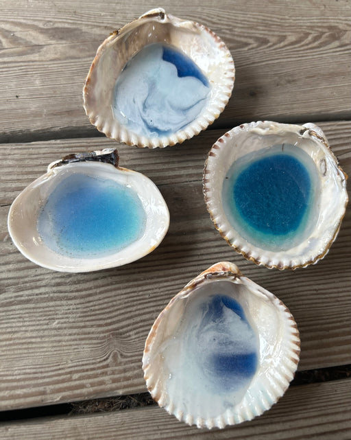 Local Seashell Dishes