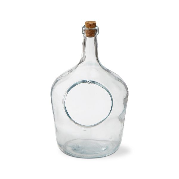 Glass demijohn Terrarium — Islandish™