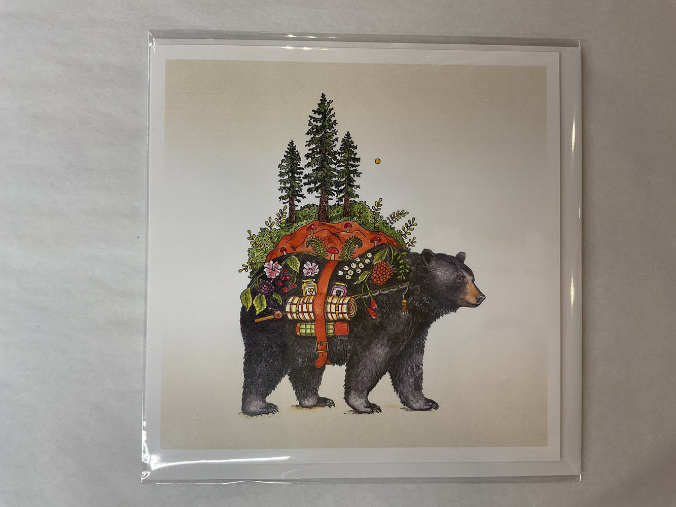 Jack the Black Bear