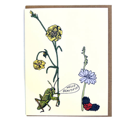 Little Bugs Card - Grasshopper and Caterpillar