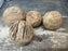 Wooden Orb