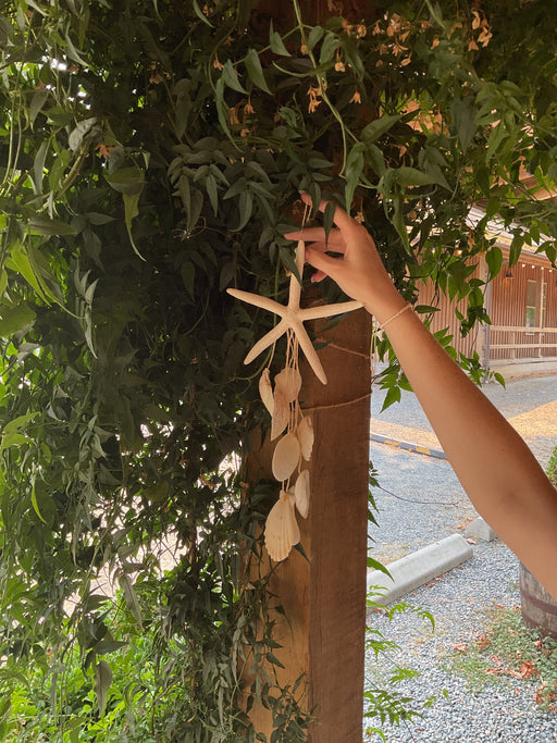 Starfish & Shell Chime