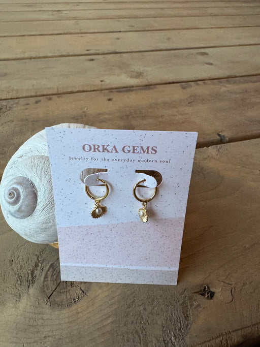 Clamshell huggie Earrings