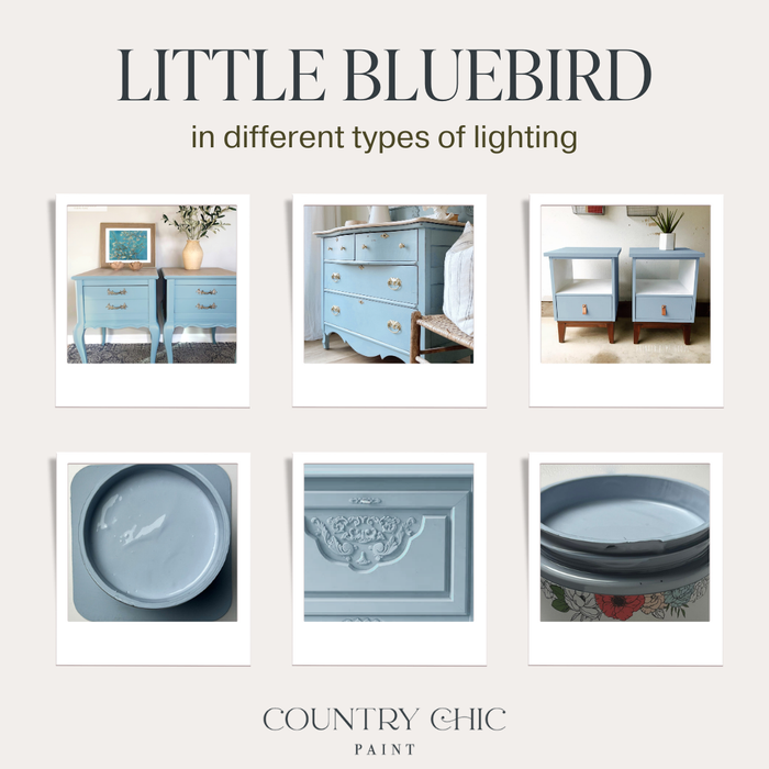 Little Bluebird - Chalk Style Paint for Furniture & Decor