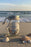 Beachcombing Treasures Jar