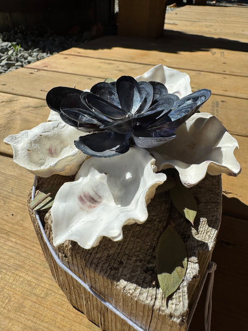 Oyster and mussel shell flower on Driftwood N5