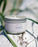 Fogust Soy Candle 4oz