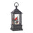 9.5 : Cardinal Lighted Water Lantern