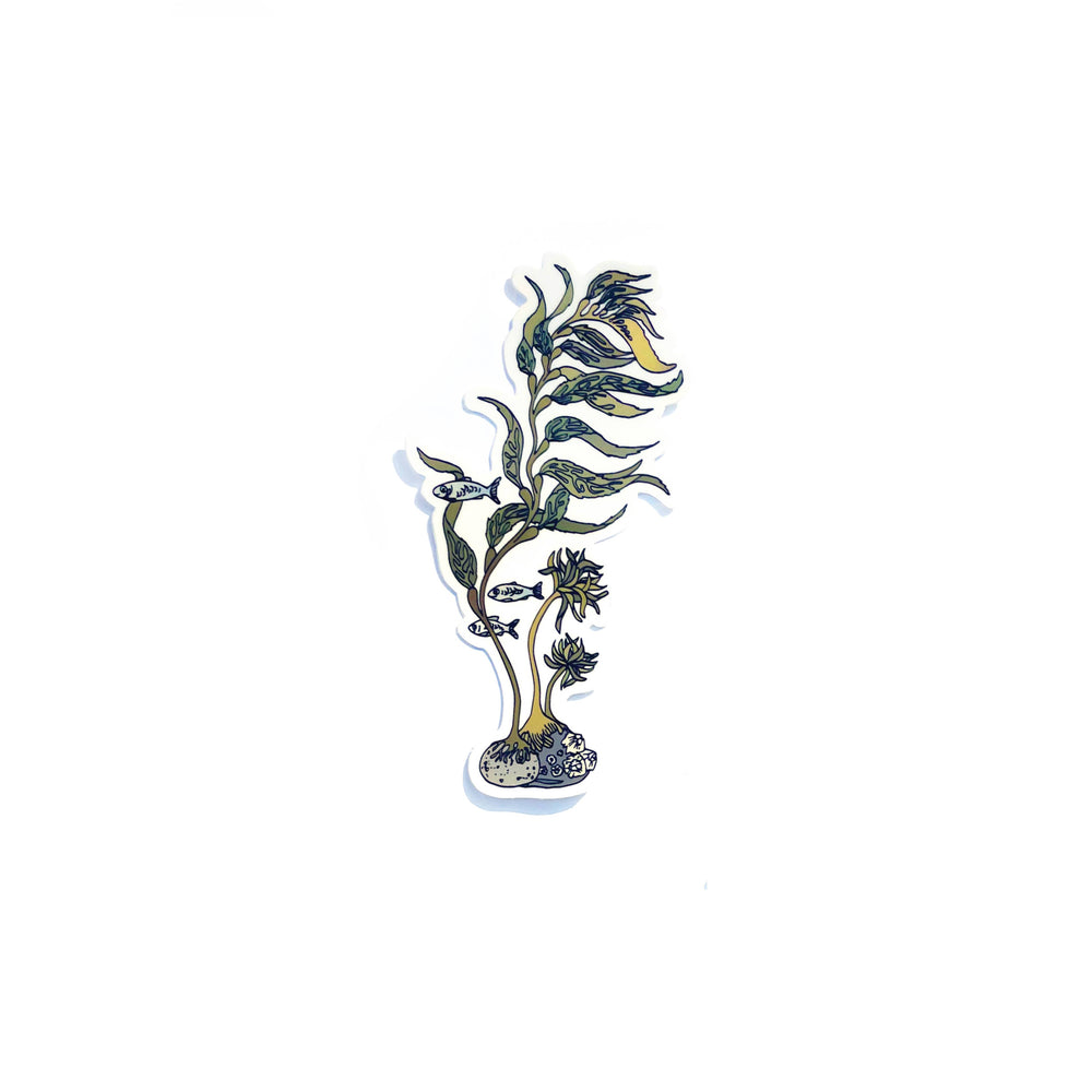 Kelp Sticker