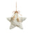 6" Sherpa Star Ornament