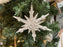 0038 Resin Shell Star Ornament