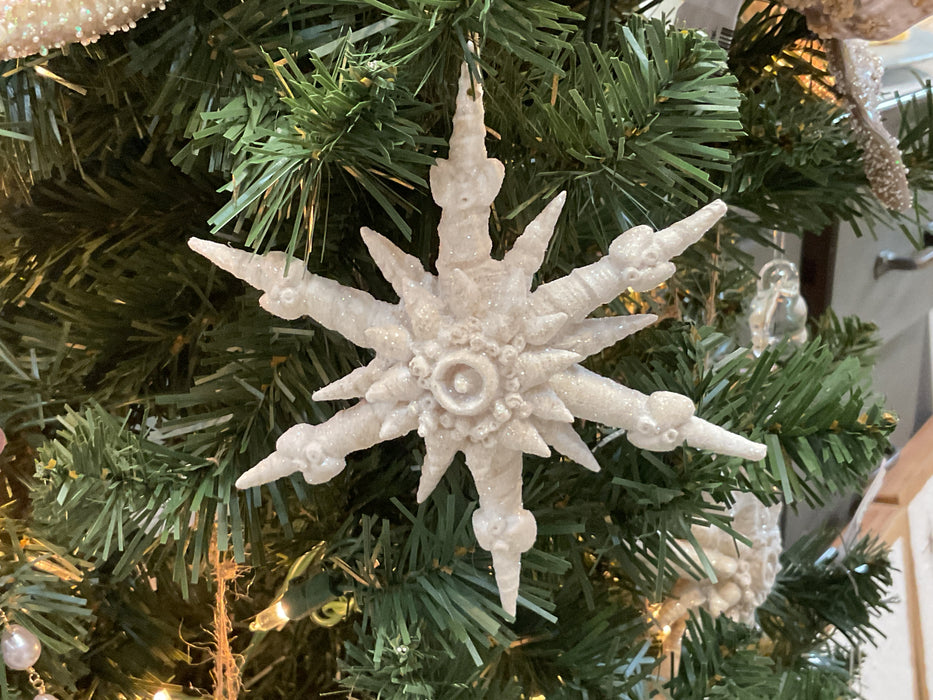 0038 Resin Shell Star Ornament