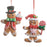 Sugared Gingerbread ornamant 4615560