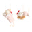 4639047 Spa Day mice ornament