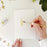 Birds paintable watercolor notecard set