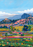 Wine Country | 500-Piece Puzzle | Designed in Canada