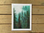 Ronei Art Prints