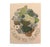 Moss and Lichen Card