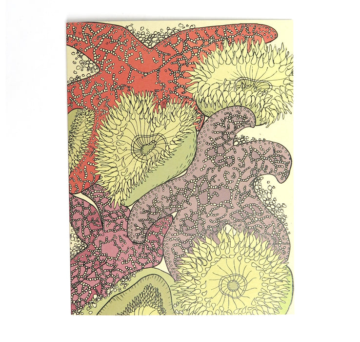 Starfish Card