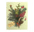 Winter Evergreen Card