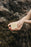 Naked Unscented Tallow Soap Bar | Baby & Sensitive Skin