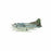 Tofino Cox Bay Beach Sticker