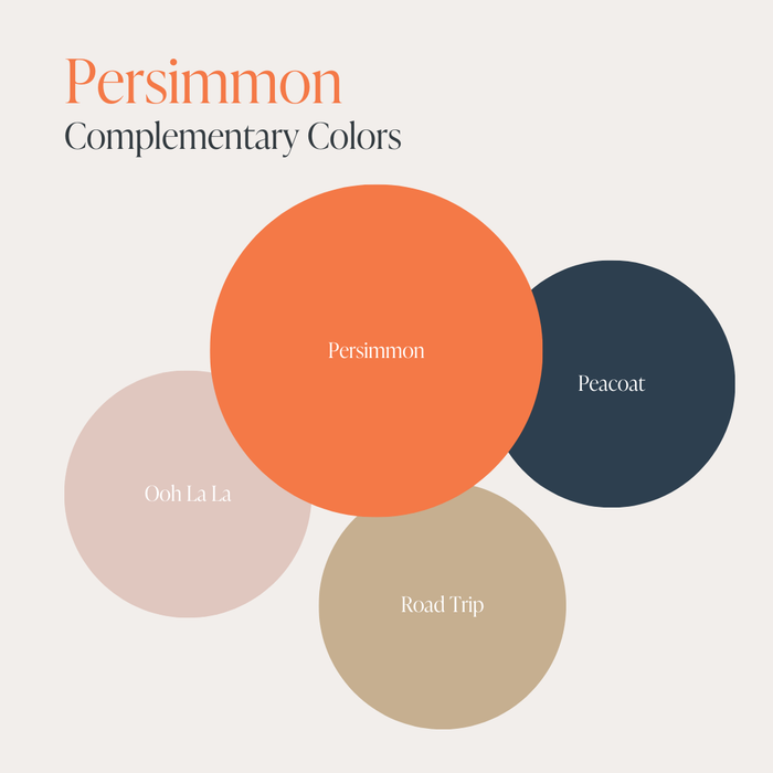 Persimmon - Chalk Style Paint for Furniture & Home Decor