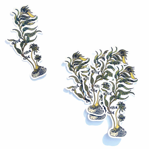 Kelp Sticker