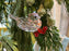 0060 Bird Ornament