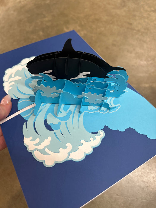 Orca Cards