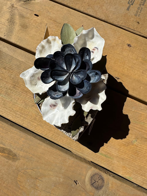 Oyster and mussel shell flower on Driftwood N5