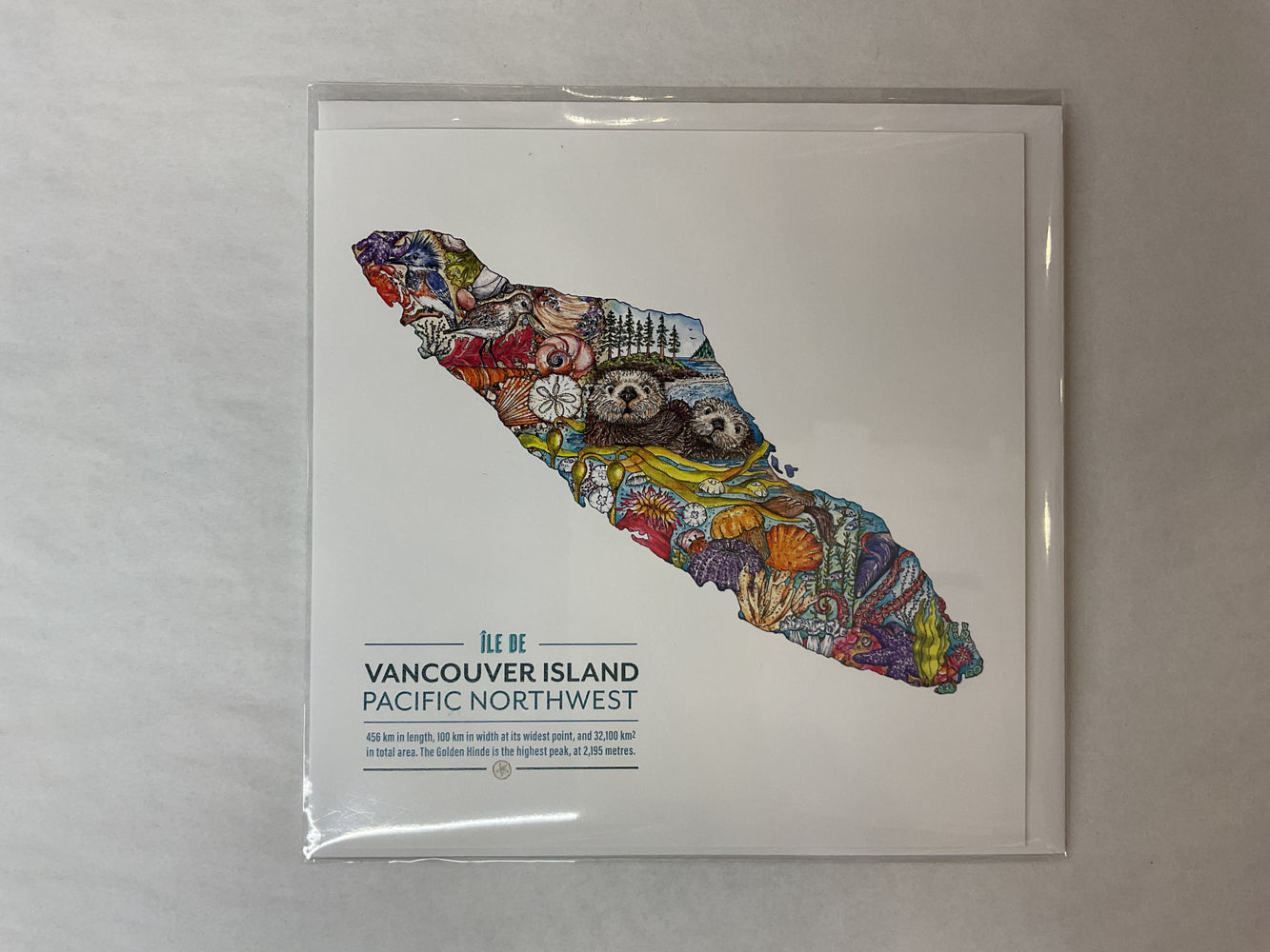 Island Sea Otter Card