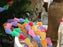XS9272 Plastic Gumdrop Garland