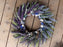 Grapevine starfish wreath