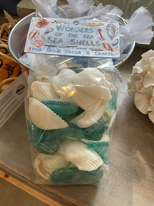 Beach glass and seashells bag