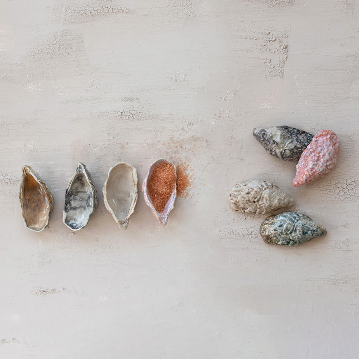 Stoneware Oyster Shell Shaped Dish, 4 Colors (Each One Will Vary) 0457