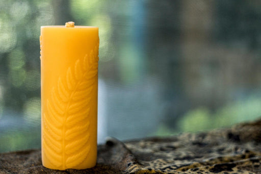 Simple Fern Bees wax Pillar Candle 6.5”x2.5”