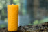 Simple Fern Bees wax Pillar Candle 6.5”x2.5”