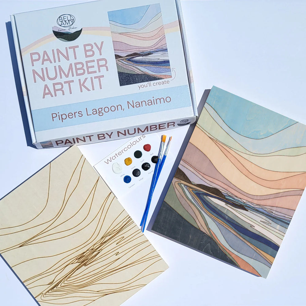 Paint by Number Art Kit