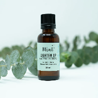 Essential Oil Blends by Mint
