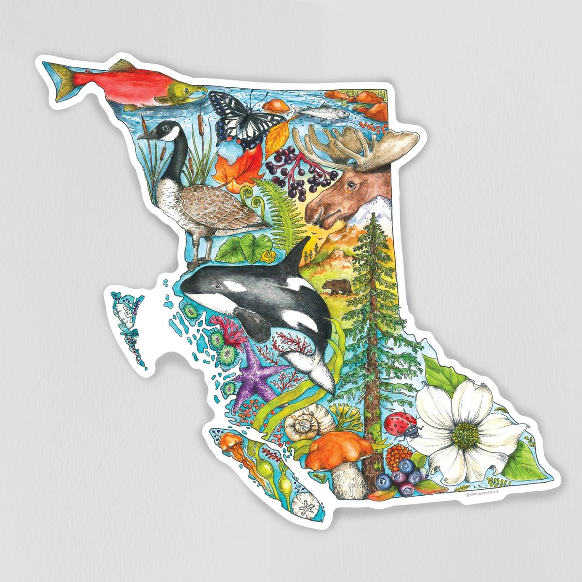 Golden Bc Sticker BC Sticker β Island-ishβ’