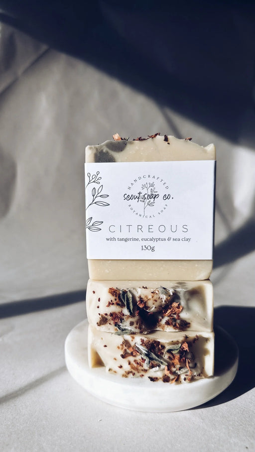 Scout Winter Soap Release '25