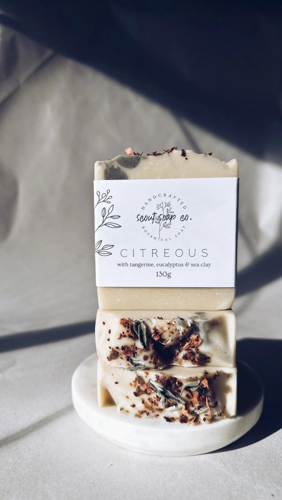 Scout Winter Soap Release '25