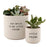 Planter Pots - Say Hello to my Little Friend Set of 2!