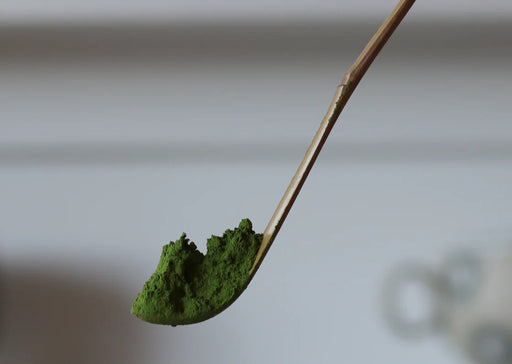 Bamboo Matcha Tea Scoop (Chashaku)