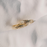 Sol Surfer Ring