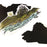 Vancouver Island Landscape Magnet