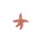 Orange Sea Star Sticker