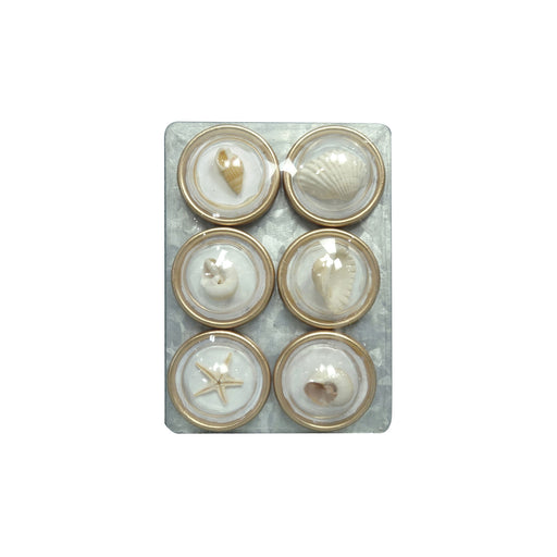 Resin Convex Magnets on Metal Card with Shells, Set of 6 SKU#DG0673