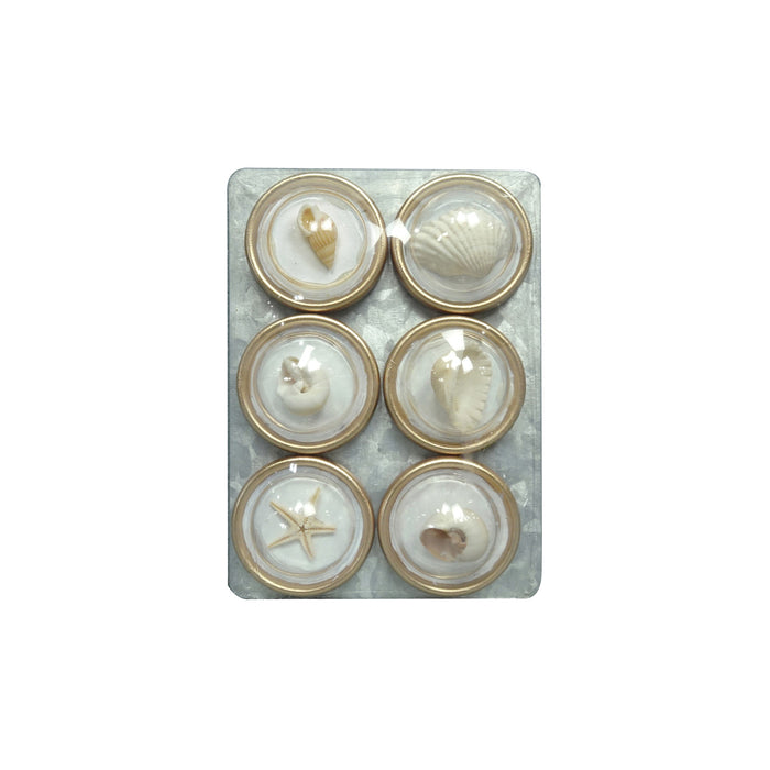 Resin Convex Magnets on Metal Card with Shells, Set of 6 SKU#DG0673